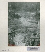 SEJARAH KOLEKSI JOHOR