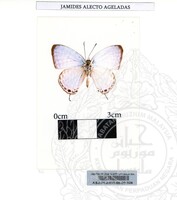 ALAM SEMULAJADI RAMA-RAMA JILID 1