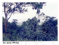 ARKEOLOGI SG, MAS, KEDAH SM: 32-12/ 99