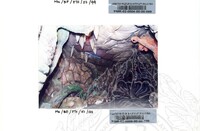 BAHAN PAMERAN TEROKAI HANTU