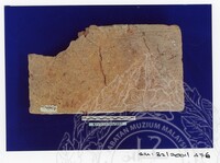 ARKEOLOGI SG. MAS, KEDAH SM : 32 / 2001 / 252 - 498 (JILID 2)