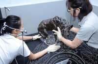 GAMBAR KOLEKSI DAN PENGENDALIAN PAMERAN GELARI 1