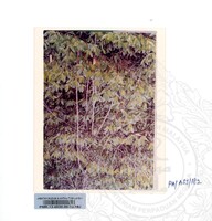 KOLEKSI PAMERAN ALAM SEMULAJADI 1994