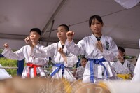 HMA 2025- 26.7.2025 -  PERTUNJUKAN TAEKWONDO