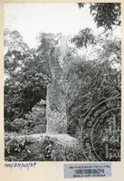 BATU HIDUP NEGERI SEMBILAN JILID 1 - 024