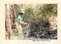 ARKEOLOGI SG. MAS, KEDAH SM: 32-7/ 95 (JILID 2) (WARNA)