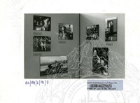 PAMERAN KEMPEN SEDUNIA UNTUK MELINDUNGI MANGSA-MANGSA PERANG 1991