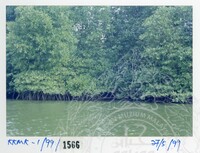 ARKEOLOGI KOTA KUALA MUDA 1999 JILID 6