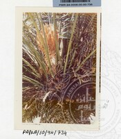 PAMERAN KEINDAHAN ALAM 1994 3