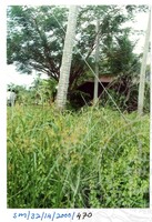 ARKEOLOGI SG, MAS, KEDAH  SM: 32-14/ 2000 (JILID 3)