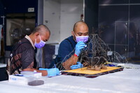 DOKUMENTARI PROSES KONSERVASI KAPAL CENGKIH