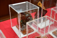 BICARA MUZIUM ALAM SEMULA JADI (KEUNIKAN MUATIARA HUTAN)