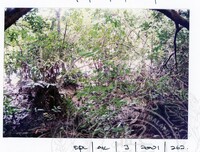 ARKEOLOGI EKSPLORASI JOHOR 2001 JILID 1