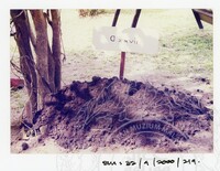 ARKEOLOGI SG. MAS, KEDAH SM: 32-9/2000 (JILID 2)