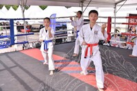 HMA 2025- 26.7.2025 -  PERTUNJUKAN TAEKWONDO