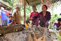 CITRA NUSA @ MUZIUM MAGIS BELANTARA