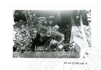 ARKEOLOGI SG. MAS, KEDAH SM: 32-5/ 93 VOL: 5 W