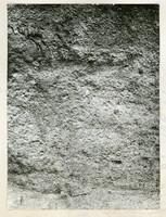 ARKEOLOGI KG. PANCU MUAR JOHOR 1978