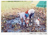 ARKEOLOGI KOTA KAYANG PERLIS 2002 JILID 4