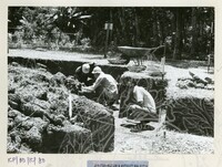 ARKEOLOGI BENDANG DALAM TPK 50 1974