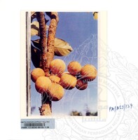 KOLEKSI PAMERAN ALAM SEMULAJADI 1994