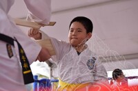 HMA 2025- 26.7.2025 -  PERTUNJUKAN TAEKWONDO