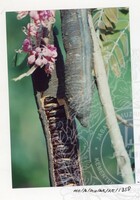 BANGUNAN MUZIUM ARKEOLOGI LEMBAH BUJANG KEDAH - JILID 5