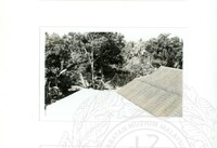 ARKEOLOGI SG. MAS, KEDAH SM, 32-4,93 VOL,3 HP FASA 4 LOKASI, POKOK, LAWATAN, CERAMAH, AKTIVITI - HITAM/ PUTIH. HASSAN