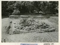 ARKEOLOGI BENDANG DALAM TPK 50 1974