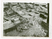 ARKEOLOGI PENGKALAN BUJANG FASA 5 PADA 23-5/91/1-114