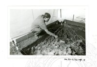 ARKEOLOGI SG. MAS, KEDAH SM: 32-5/ 93 VOL: 5 W