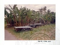 ARKEOLOGI SG. MAS, KEDAH SM: 32-7/95 (JILID 4) (WARNA)