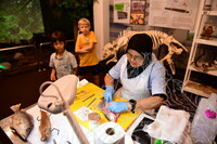 HMA 2024 - CONTENT PAMERAN