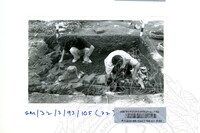 ARKEOLOGI SG. MAS, KEDAH SM : 32-3/93 VOL : 6 HP