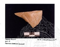 ARKEOLOGI SG. MAS, KEDAH SM: 32-5/ 93 (ARTIFAK)