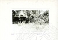 ARKEOLOGI SG. MAS, KEDAH SM, 32-4,93 VOL,3 HP FASA 4 LOKASI, POKOK, LAWATAN, CERAMAH, AKTIVITI - HITAM/ PUTIH. HASSAN