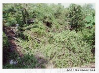 ARKEOLOGI SG. MAS, KEDAH SM: 32/ 2001/ 1-251 (JILID 1)