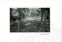 ARKEOLOGI SG. MAS, KEDAH SM : 32-3 / 93 VOL : 9 HP