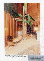 PAMERAN BALAI B MUZIUM NEGARA WAJAH-WAJAH MALAYSIA