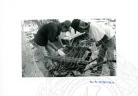 ARKEOLOGI SG. MAS, KEDAH SM : 32 - 3 / 93 8 HP