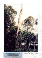 PAMERAN DURIAN RAJA SEGALA BUAH