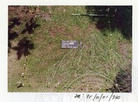 ARKEOLOGI SG. MAS, KEDAH SM: 32-10/ 2001 (JILID 2)