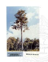 PAMERAN TEROKAI HANTU 2002 (JILID 3)