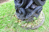 PENDOKUMENTASIAN KONDISI TIANG KELIERING BAGI TUJUAN KONSERVASI