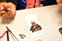HMA 2024 - BUTTERFLY WING WORKSHOP BY ENTOPIA PENANG