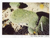 BANGUNAN MUZIUM ARKEOLOGI LEMBAH BUJANG KEDAH - JILID 4