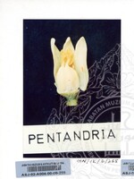 PAMERAN DURIAN RAJA SEGALA BUAH