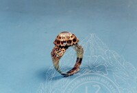 Perhiasan Diri Cincin 