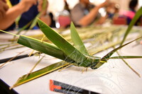 HMA 2024 - BENGKEL SENI ANYAMAN BELALANG