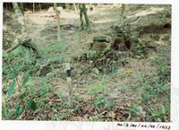 BANGUNAN MUZIUM ARKEOLOGI LEMBAH BUJANG KEDAH - JILID 4